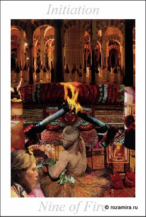 Nature Tarot by Jan Strube